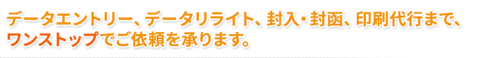 データエントリー、データリライト、封入・封函、印刷代行まで、ワンストップでご依頼を承ります。